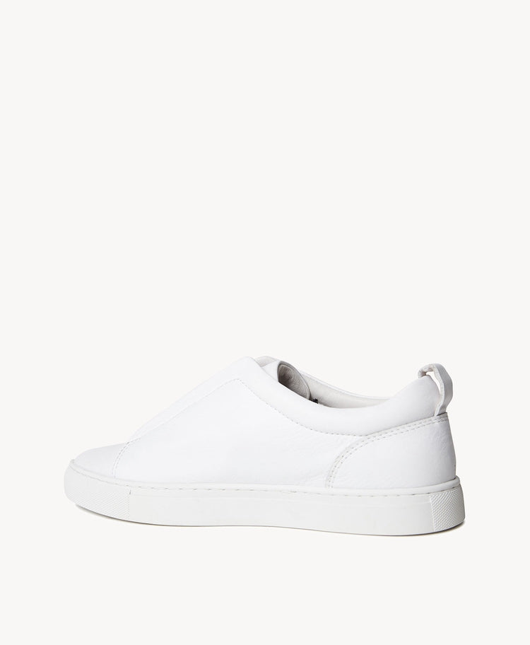 Terra Sneaker White